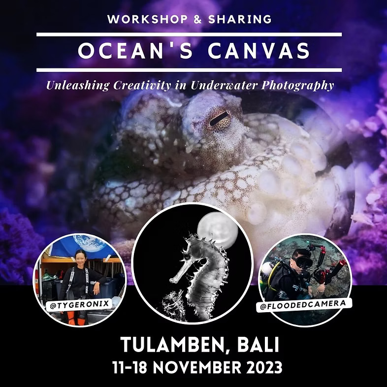 Ocean Canvas 2023 Flyer